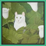 Jean-Jacques Giraud - Chat dans des Arums