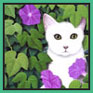 Jean-Jacques Giraud - Chat dans les volubilis